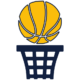 Basketball icon