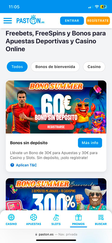 Promociones de Pastón versión móvil