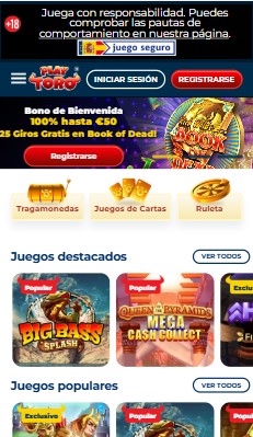 Homepage Playtoro